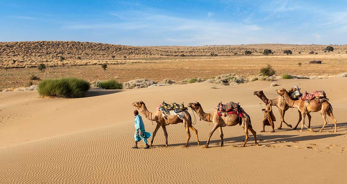 Desert Of Rajasthan