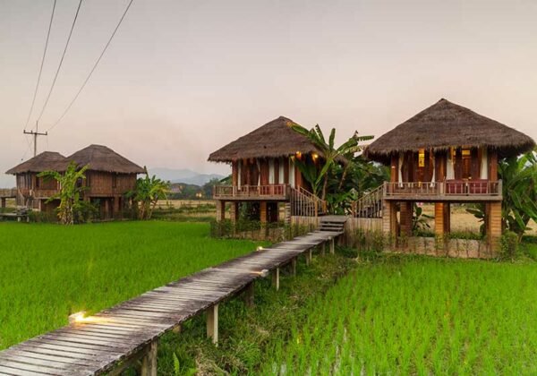 Laos-Green-rice-fields-and-mountains-Vang-Vieng-Resort
